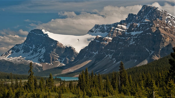 evergreen trees in the foreground and mountains in the background with a small blue lake between the mountains and trees