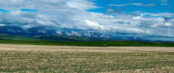 light brown field with rolling hills and mountains in the background with a tiny little red house at the foot of the mountains
